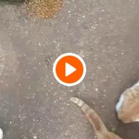 photo de livraison pour Samantha Réaux