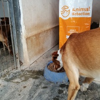 photo de livraison pour Cambiando Miradas