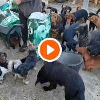 photo de livraison pour ПРИХВАТИЛИШТЕ ДРАЖЕВАЦ