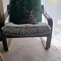 photo de livraison pour Les Chats de la Tour