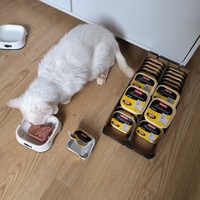 photo de livraison pour NAE-NUTTI - Les chats de la maison brûlée