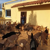 photo de livraison pour Sanctuaire de la Faune de Tanger (SFT)