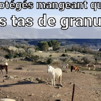 photo de livraison pour Association hippique du Caroux