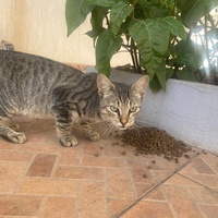 photo de livraison pour Kawthar Maree