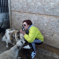 photo de livraison pour Mariuta