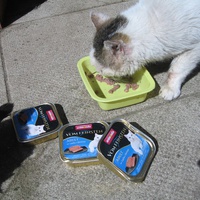 photo de livraison pour Jardin des Chats