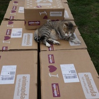 photo de livraison pour Jardin des Chats