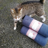 photo de livraison pour Chat L'Heureux Chat l'Ange et Cie