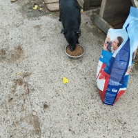photo de livraison pour Sapa u srcu