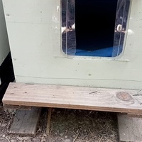 photo de livraison pour Les chats libres de Caro