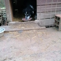 photo de livraison pour Samira Gagula