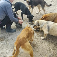 photo de livraison pour Svetlana Bjelogrlic