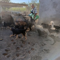 photo de livraison pour Association for the protection of animals "BAK"