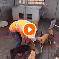 photo de livraison pour Associtia Axi Hope Romania