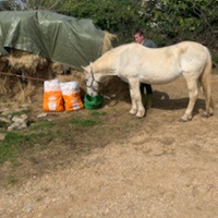photo de livraison pour Association hippique du Caroux