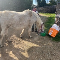 photo de livraison pour La Retraite des Chevaux des Causses