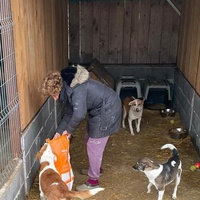 photo de livraison pour Association Lupy Orastie