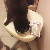 photo de livraison pour Les Amis de Michouette