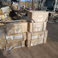 photo de livraison pour Chats Libres de Béziers