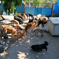 photo de livraison pour Ruke Spasa 37210