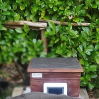 photo de livraison pour Aidons nos Molosses