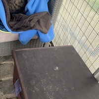 photo de livraison pour SADF (Sauvetage des animaux domestiques de France)