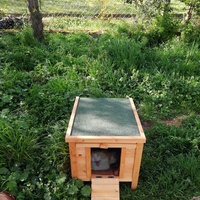 photo de livraison pour L'Ecole du Chat du Mirail