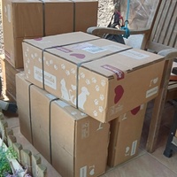 photo de livraison pour Les Mimichats