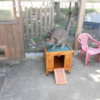 photo de livraison pour Ecole du Chat de Lanvaux