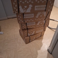 photo de livraison pour Protect Cat