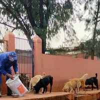 photo de livraison pour UMPA