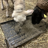 photo de livraison pour Refuge du Poil à la Plume