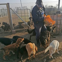 photo de livraison pour Association for the protection of animals "BAK"