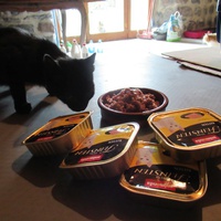 photo de livraison pour Jardin des Chats