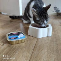 photo de livraison pour A Pas De Chats