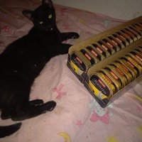 photo de livraison pour Les Pattounes de l'Espoir