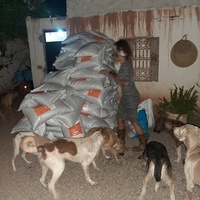 photo de livraison pour Help Adopt Moroccan Animals