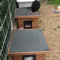 photo de livraison pour Ecole du Chat des Alpilles