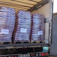 photo de livraison pour Alina & Anda