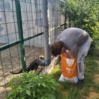 photo de livraison pour Innocente