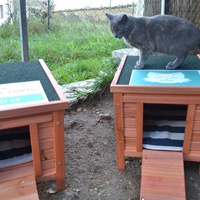 photo de livraison pour A.R.P.A Chats