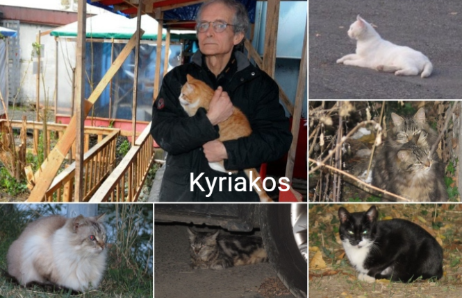 photo association