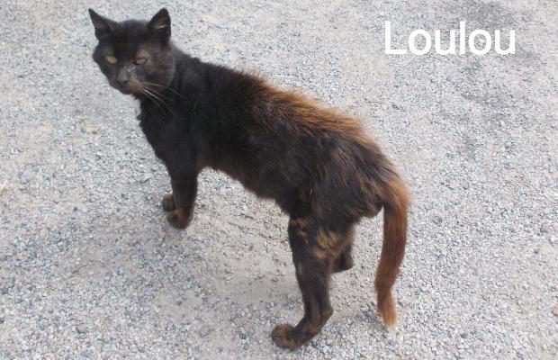 photo association