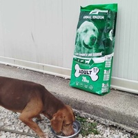 photo de livraison pour Beta Zajecar