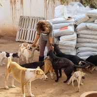 photo de livraison pour Help Adopt Moroccan Animals