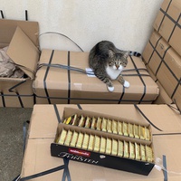 photo de livraison pour Le Chat Salonais