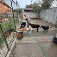photo de livraison pour ПРИХВАТИЛИШТЕ ДРАЖЕВАЦ