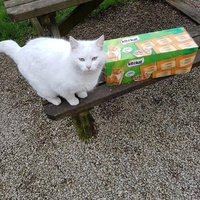photo de livraison pour Ecole du Chat d’Arbois