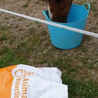 photo de livraison pour Alloue Equine Rescue