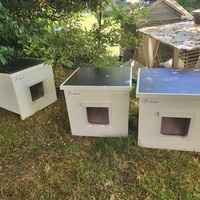 photo de livraison pour Ecole du Chat d’Arbois